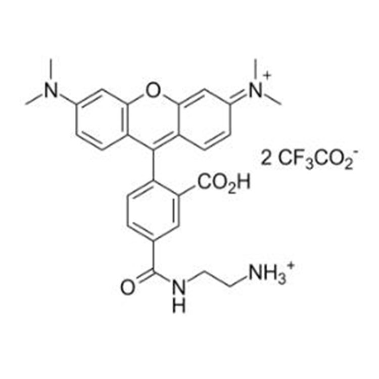 5-TAMRA ethylenediamine